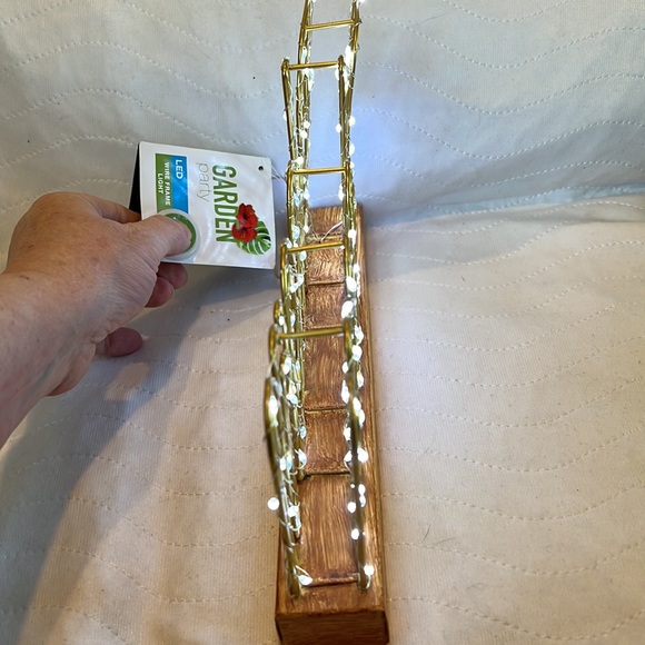 Garden 🪴 Party LED Wire Frame Light With BLOOM NWT - Picture 9 of 12